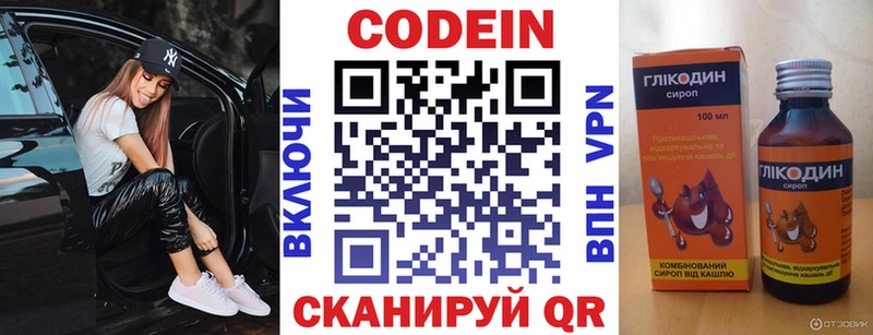 Купить закладки  Гатчина  Кодеиновый сироп Lean Purple Drank 