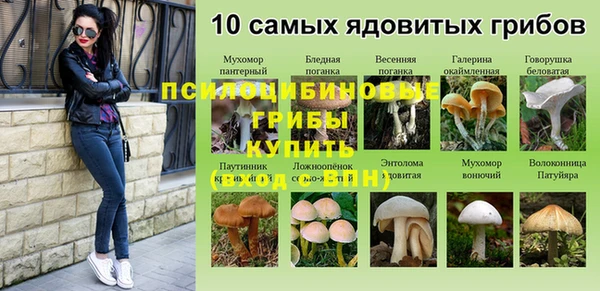 бутик Бородино