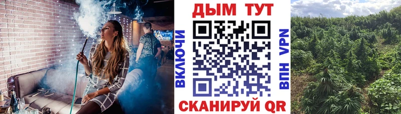Купить где Гатчина Шишки марихуана Bruce Banner
